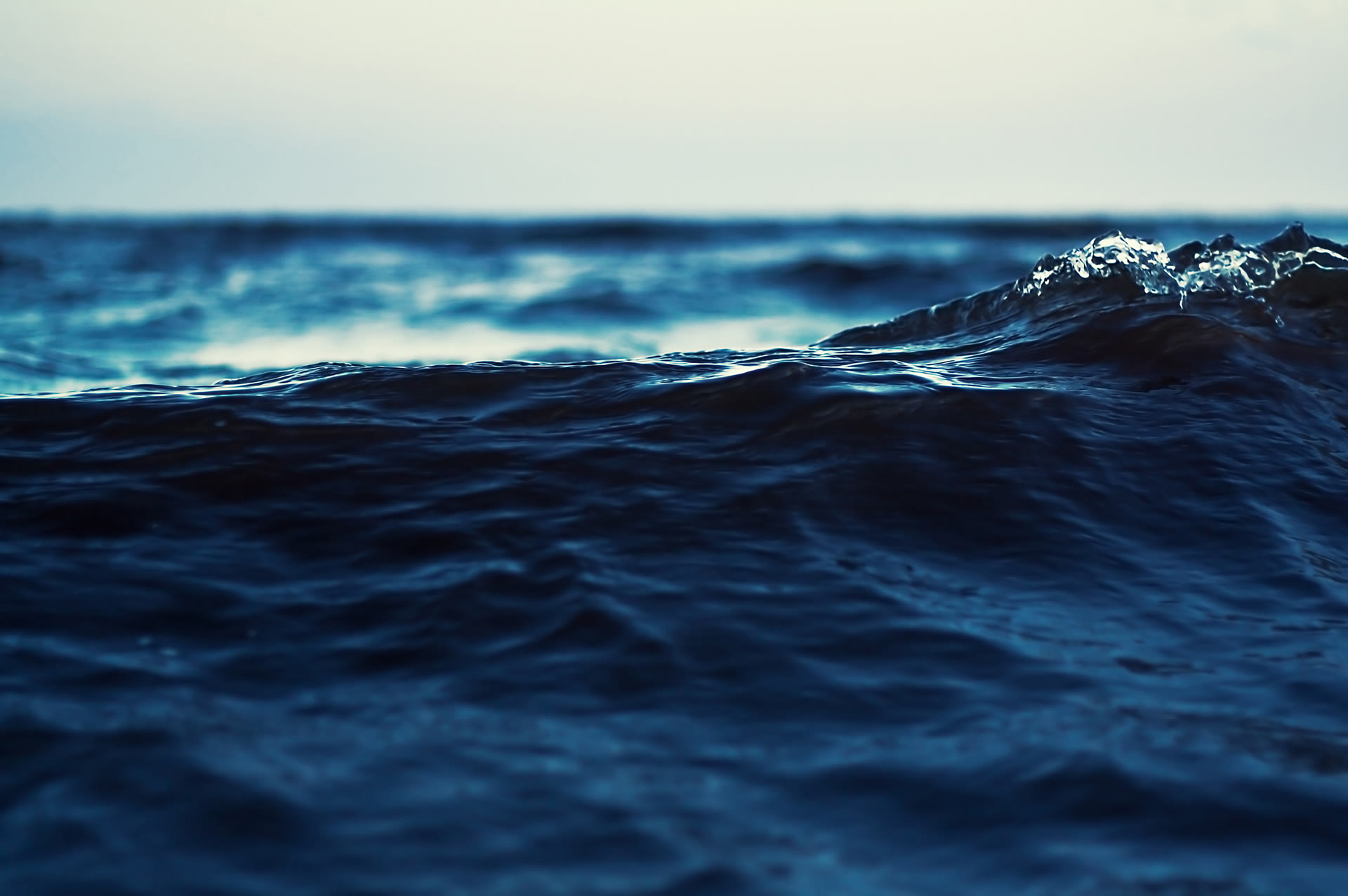 Sales Execution & Representation